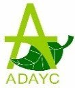 Logo ADAYC